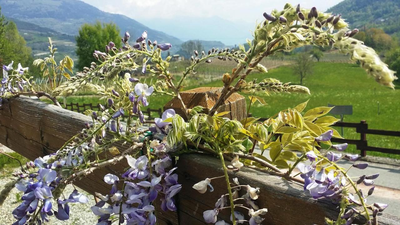 Bed and Breakfast Le Renard D'Introd Esterno foto
